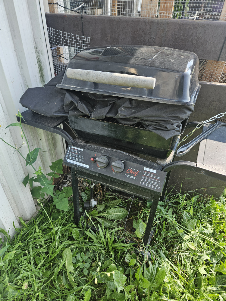 Master Chef BBQ