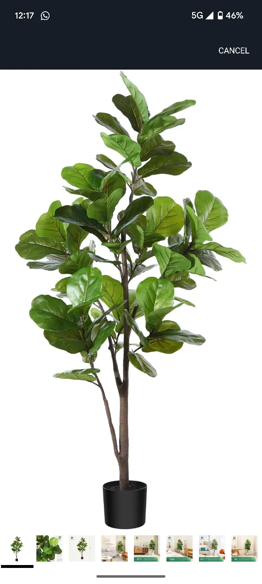 CROSOFMI Fiddle Leaf Fig Tree 5.4ft thumbnail