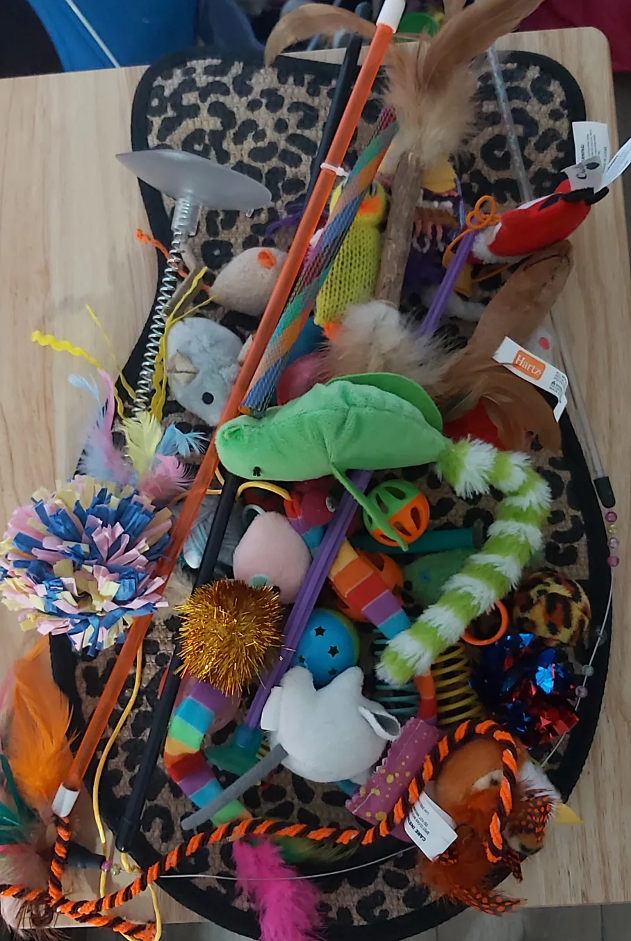 Cat toys thumbnail