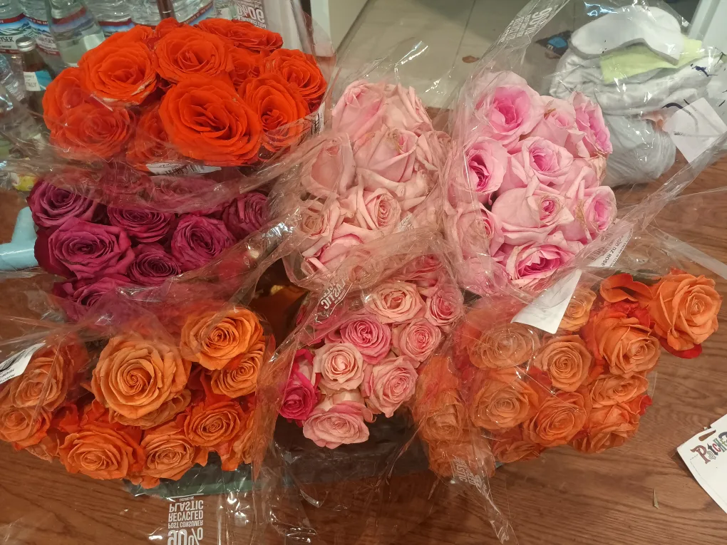 FREE Bouquets of Roses🌹🌹❗️❗️ thumbnail