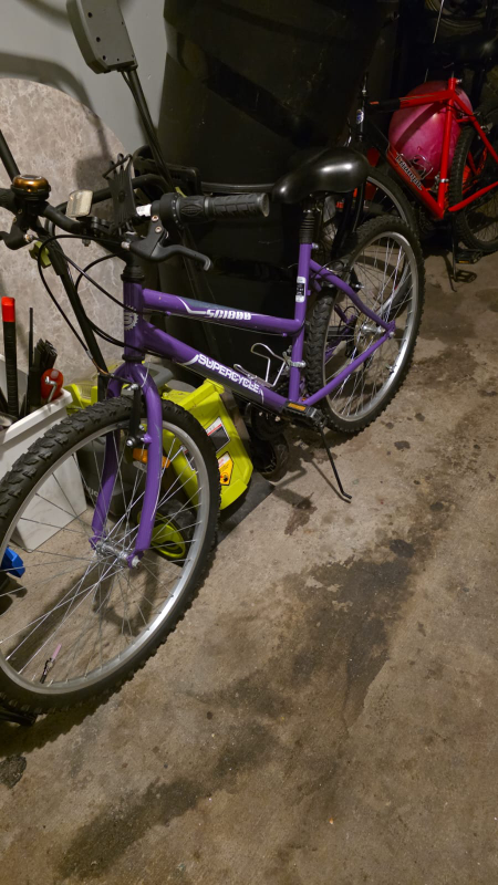 Supercycle CM1000 Purple 17" Bike