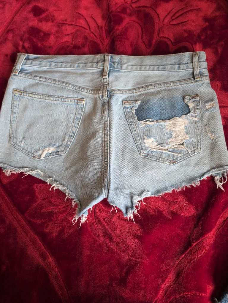 AGOLDE Premium Denim Shorts - Size 28 🇨🇦 image indicator(3)