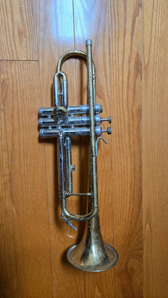 Trumpet Instrument image indicator(2)