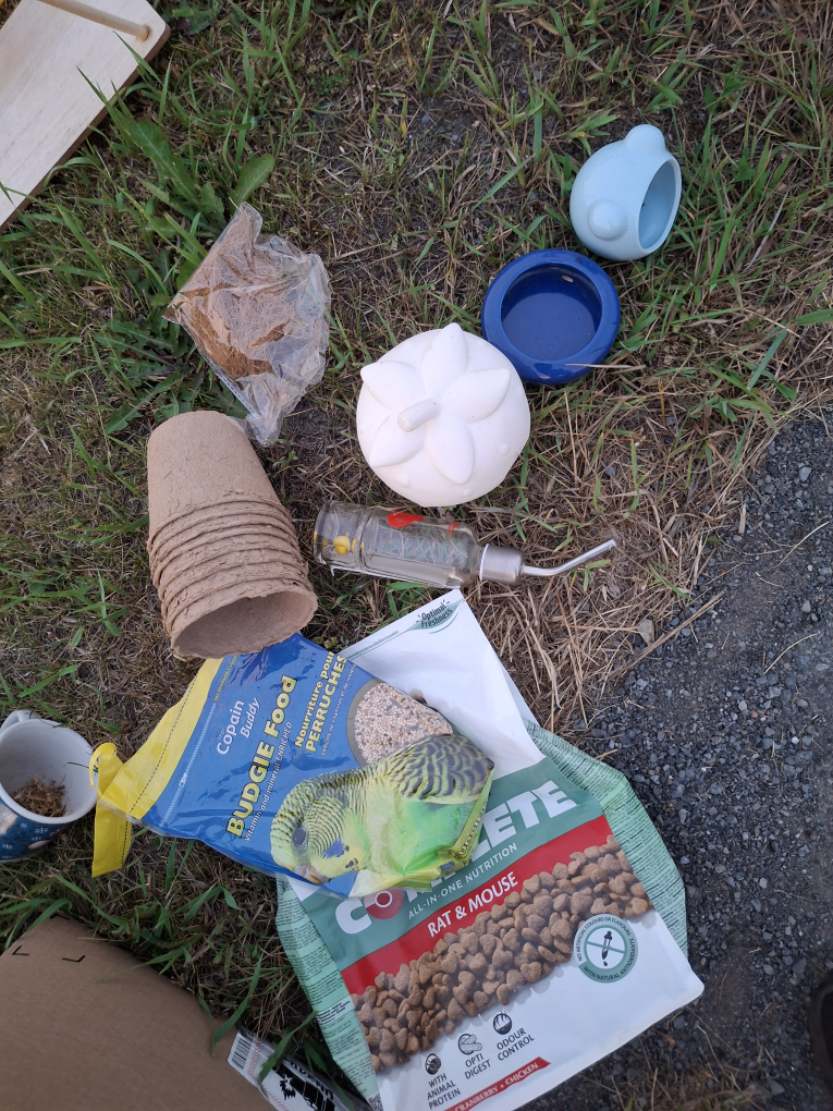 🇨🇦 #freecycle FREE DUNDELA