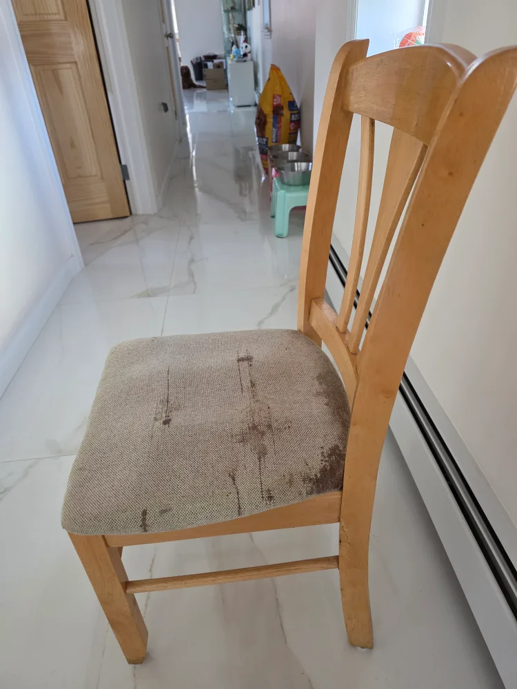 Wooden Dining Chair  ♥️ image indicator(4)