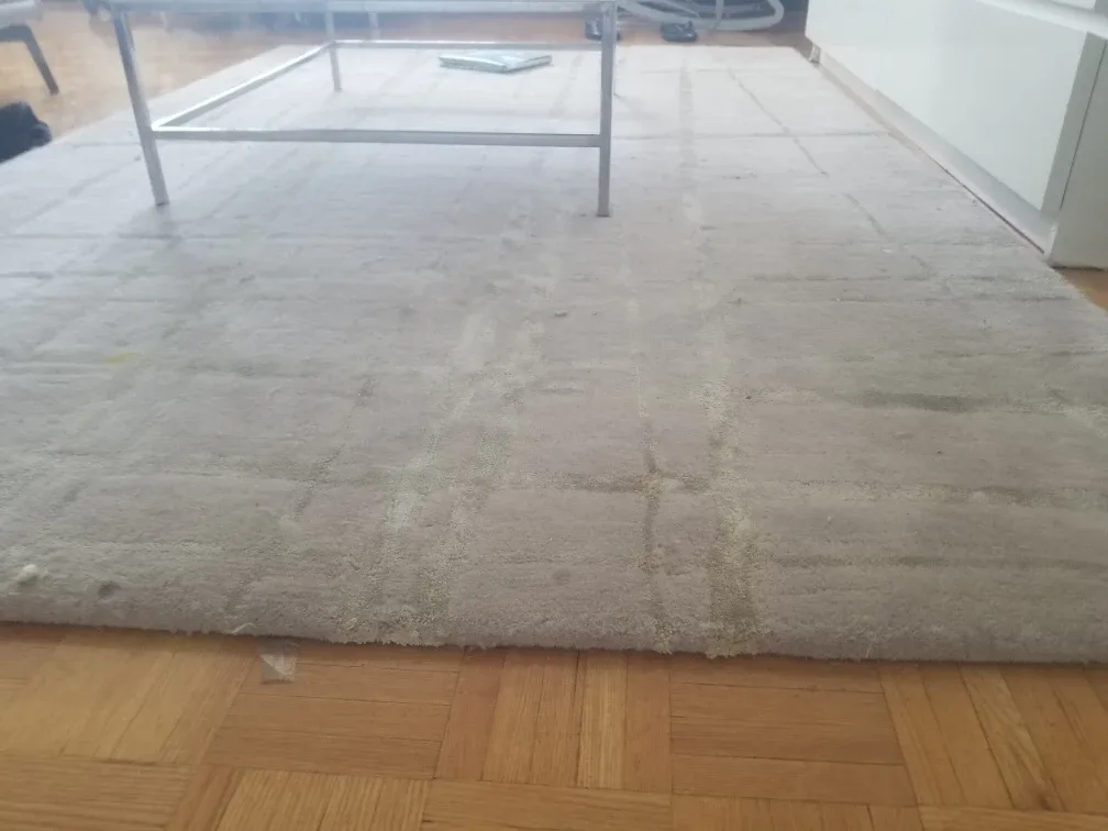 Used Beige Area Rug 5 x 8 thumbnail