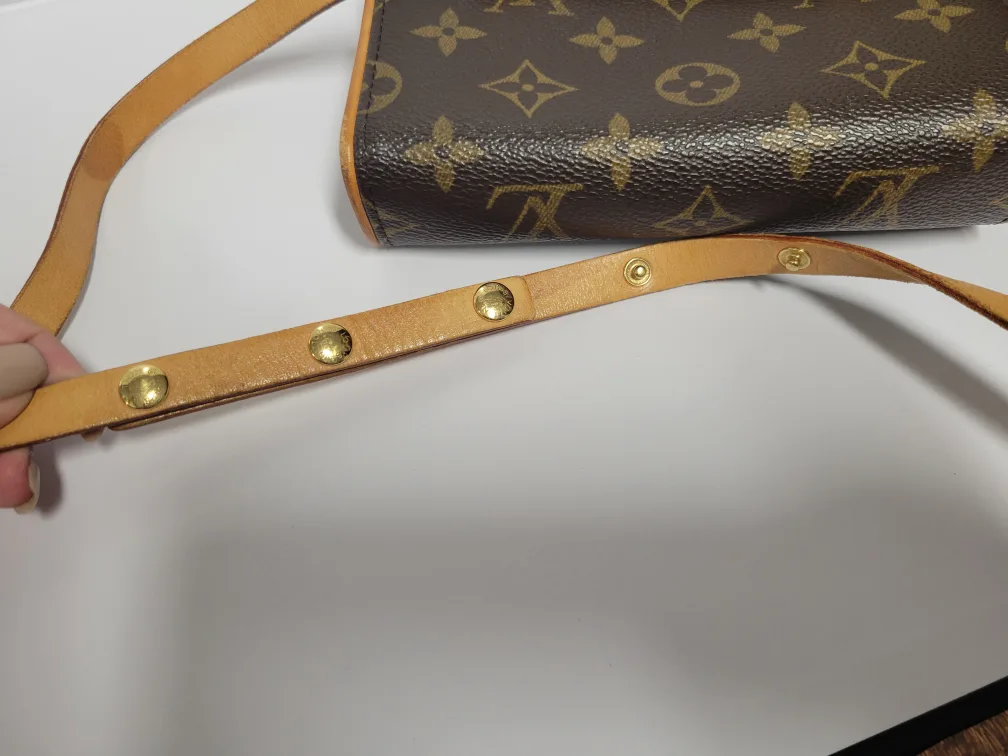 Louis Vuitton Monogram Florentine M image indicator(5)