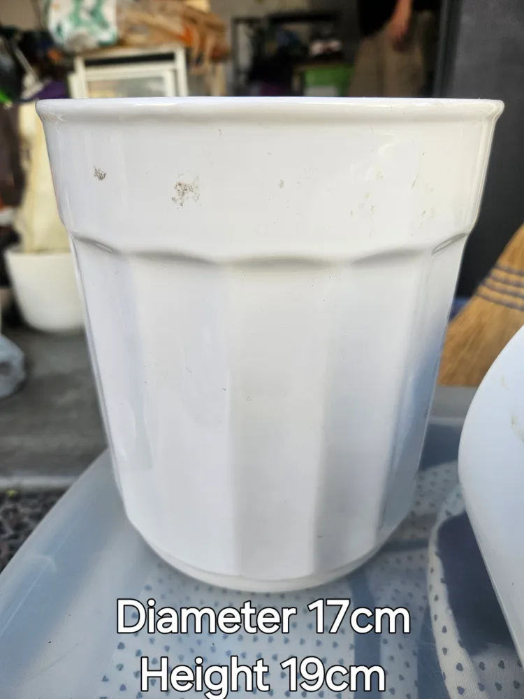 Variety of 6 White Ceramic Plant Pots thumbnail