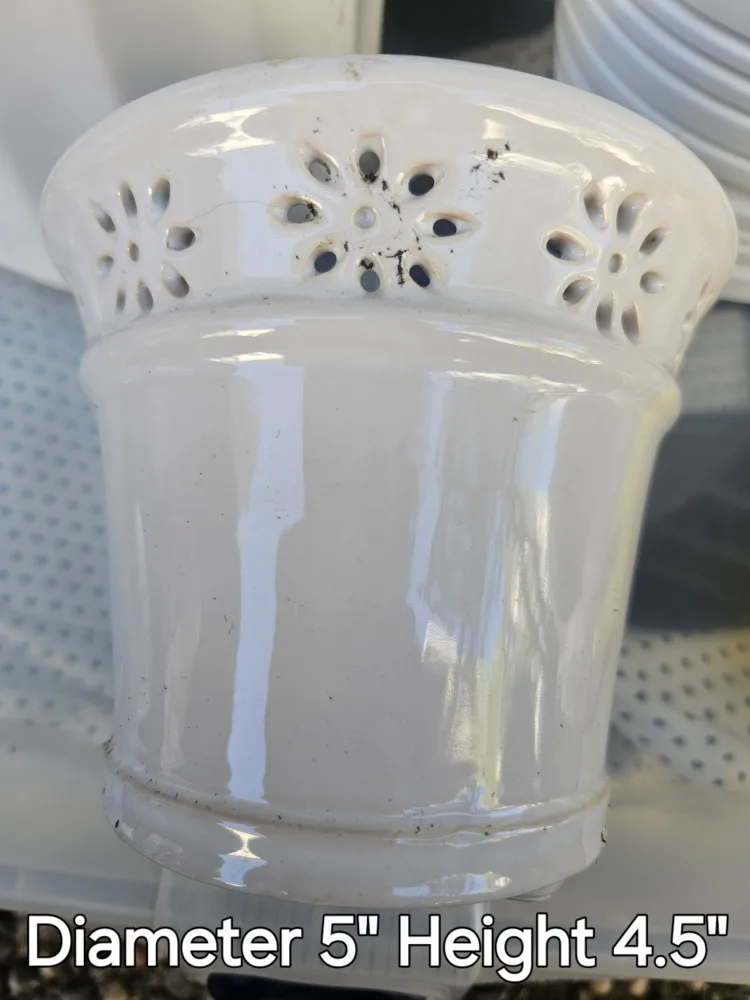 Variety of 6 White Ceramic Plant Pots image indicator(3)