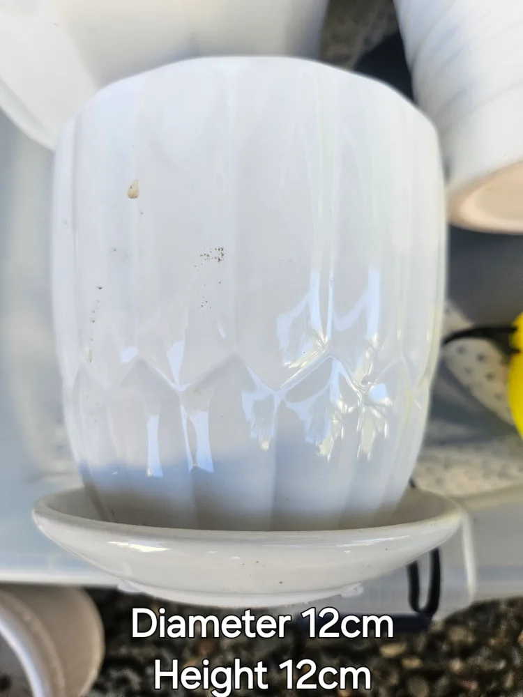 Variety of 6 White Ceramic Plant Pots image indicator(4)