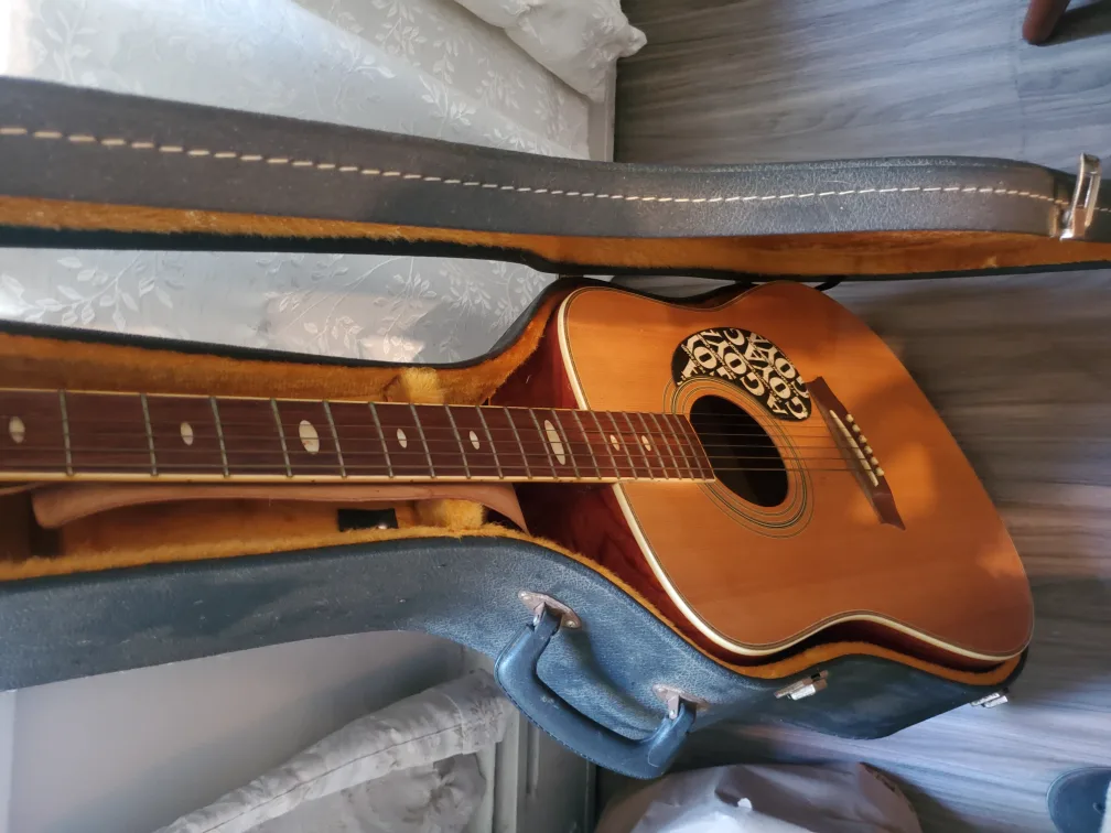 Goya Acoustic Guitar with Case thumbnail