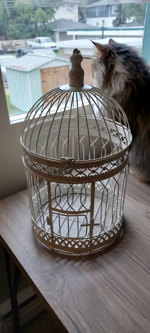 Decorative White Bird Cage thumbnail