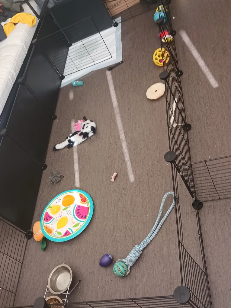 LANGXUN Pet Fence Playpen - 24 Panels image indicator(2)