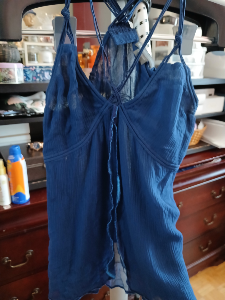 ARMANI EXCHANGE Blue Sheer Top