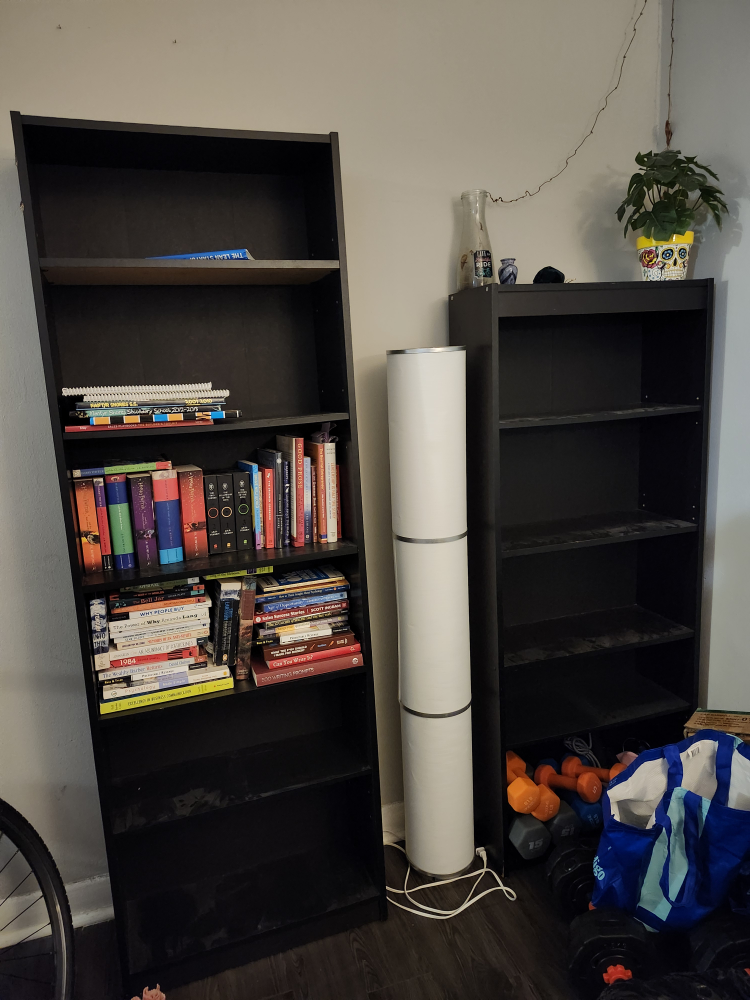 Black Bookshelves (Set of 2)