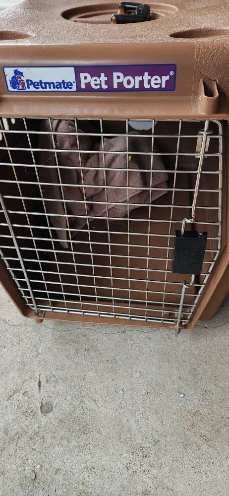 Petmate Pet Porter Kennel🇨🇦 thumbnail
