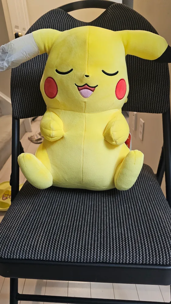 brand new pokemon sleeping plush image indicator(4)