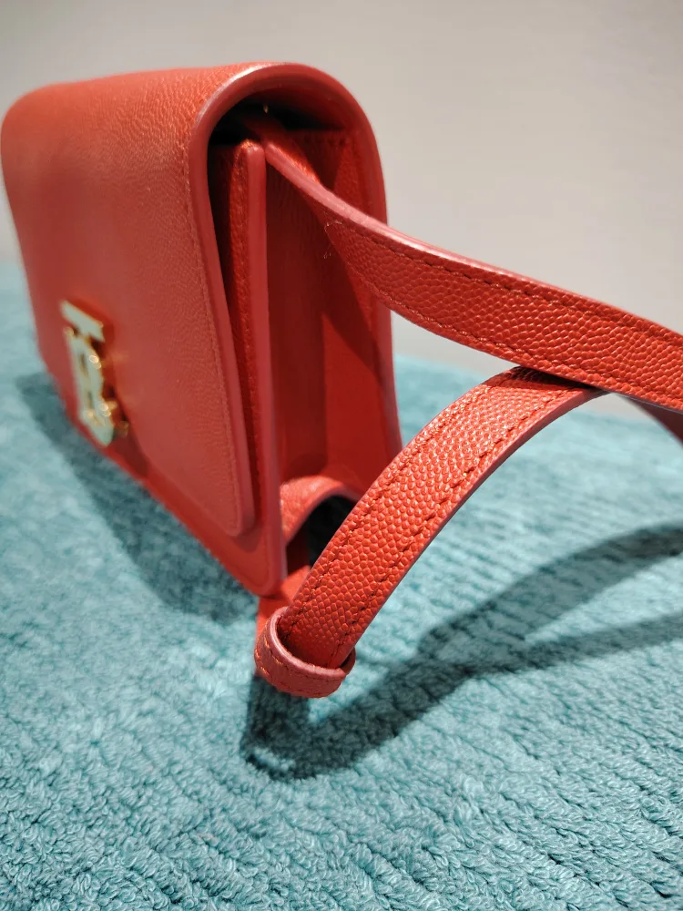 Burberry Red Leather Crossbody Bag image indicator(5)