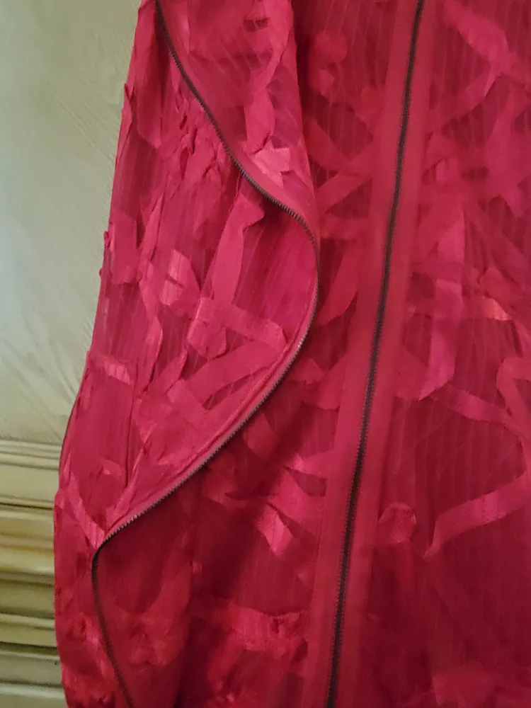 Simon Chang Red Sleeveless Dress Size 10 image indicator(4)