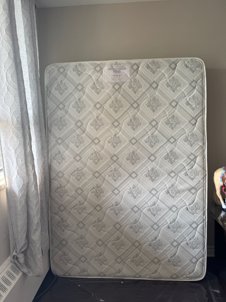 The Big Sleep Mattress - Back Support