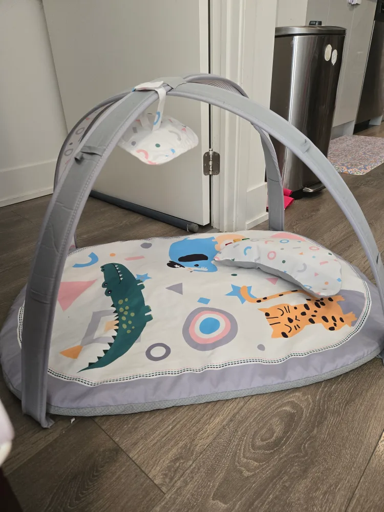 Baby Play Mat with Activity Gym thumbnail