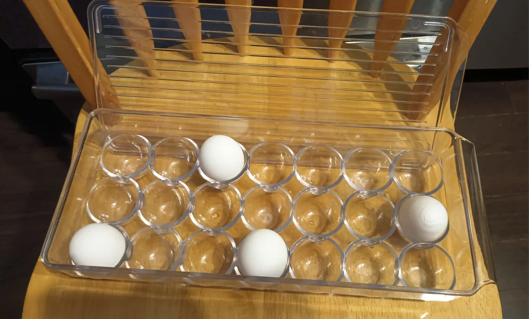 Clear Egg Holder with Lid image indicator(2)