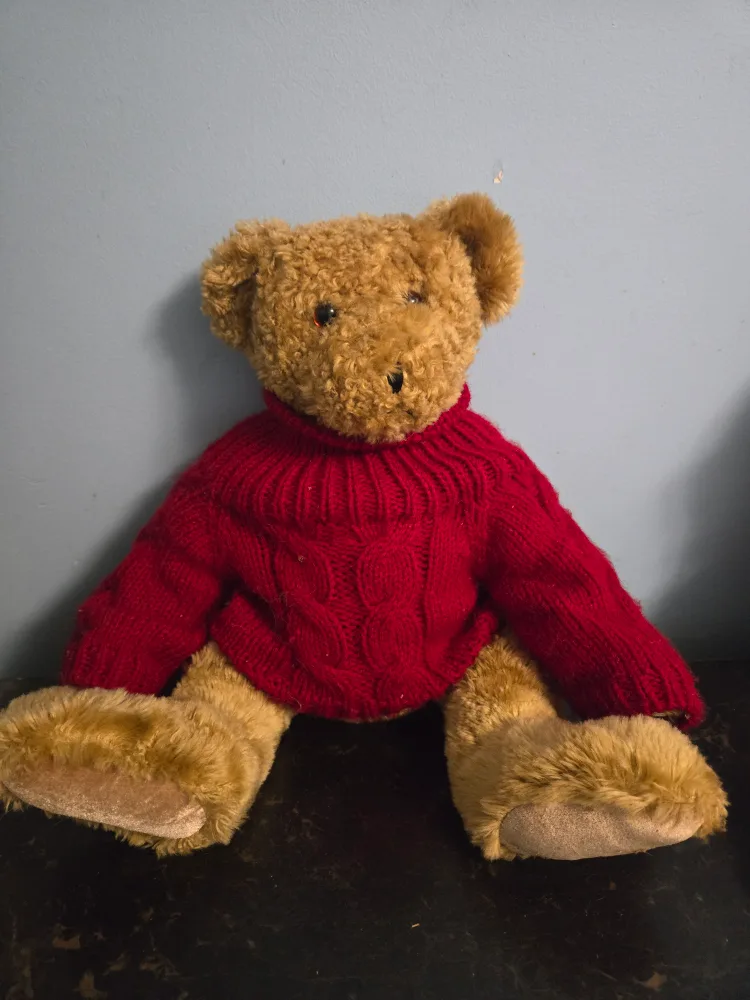 Teddy Bear with Red Sweater thumbnail