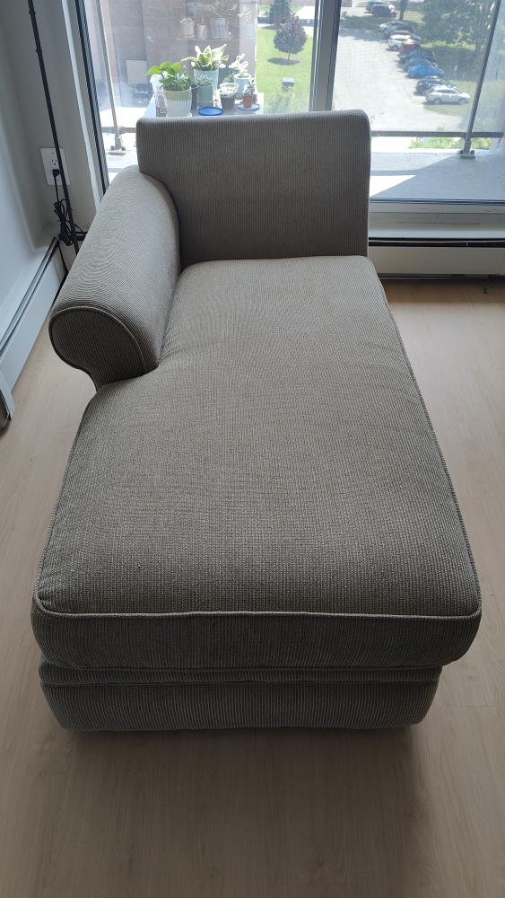 Moving sale - Comfortable Chaise Lounge