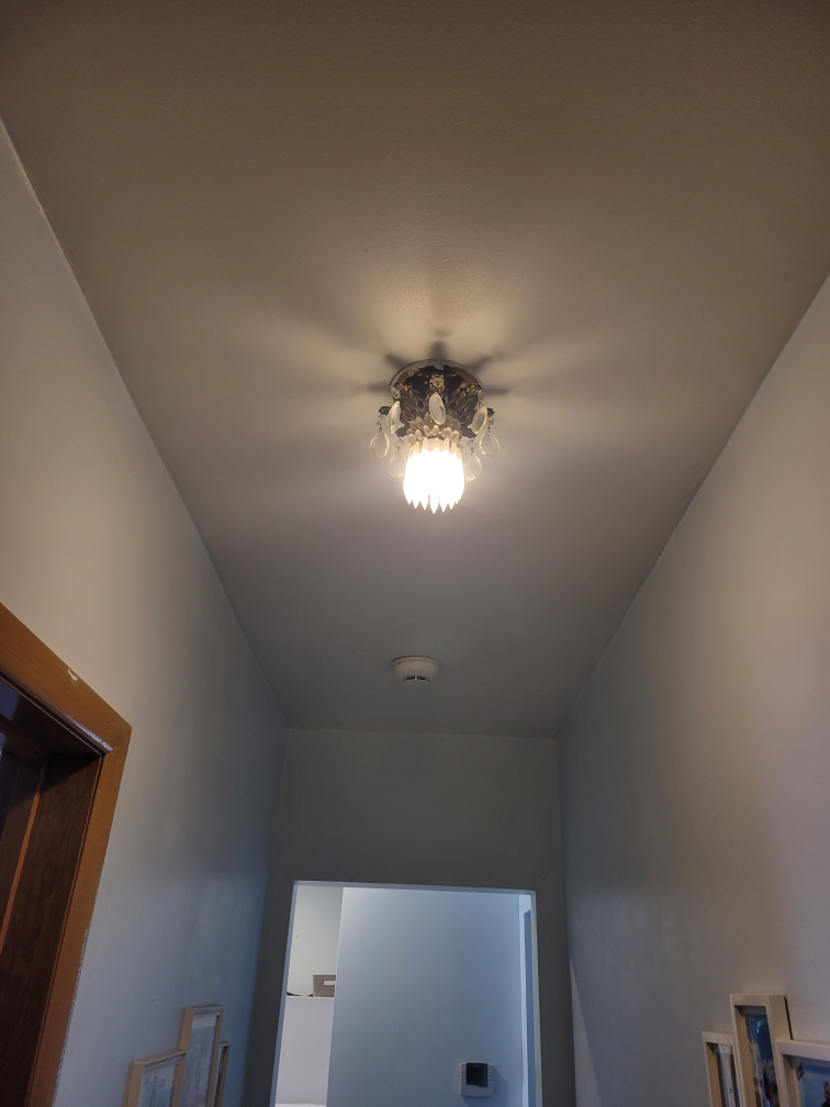 Vintage ceiling light fixtures