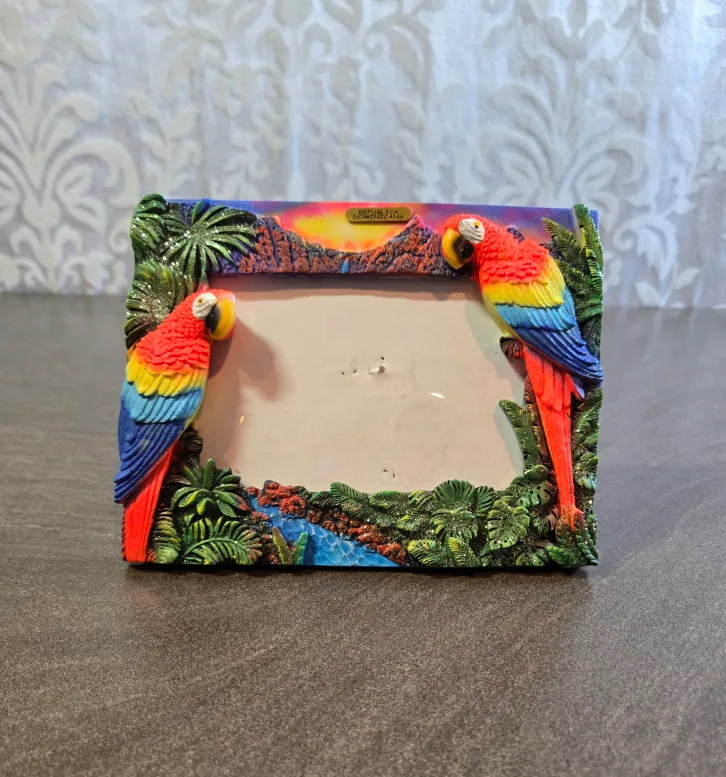 República Dominicana Parrot Picture Frame thumbnail