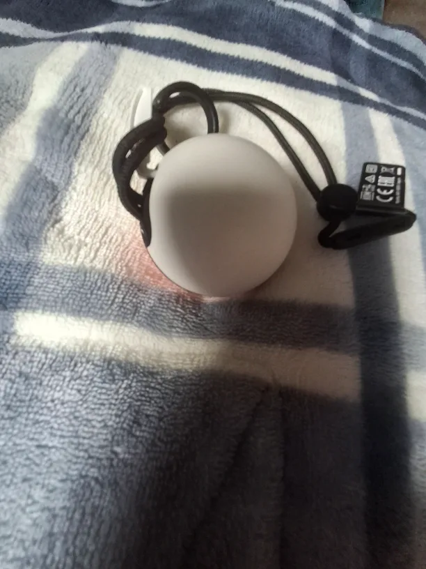 Pokémon GO Plus lets go pikachu lets go eevee image indicator(6)