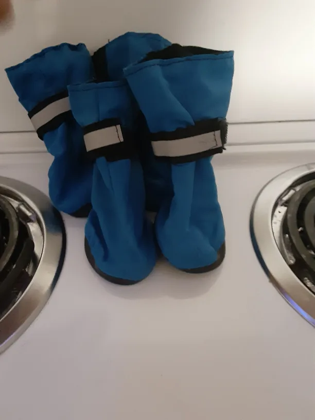 Blue Dog Boots image indicator(2)