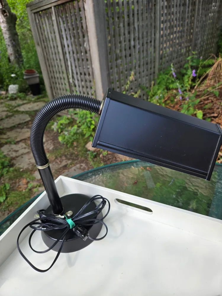 black desk lamp thumbnail