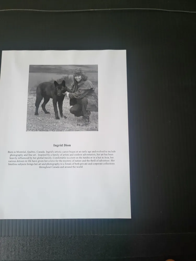 Original Ingrid Dion painting of an Asian Coast. 24 x 36 inches image indicator(6)