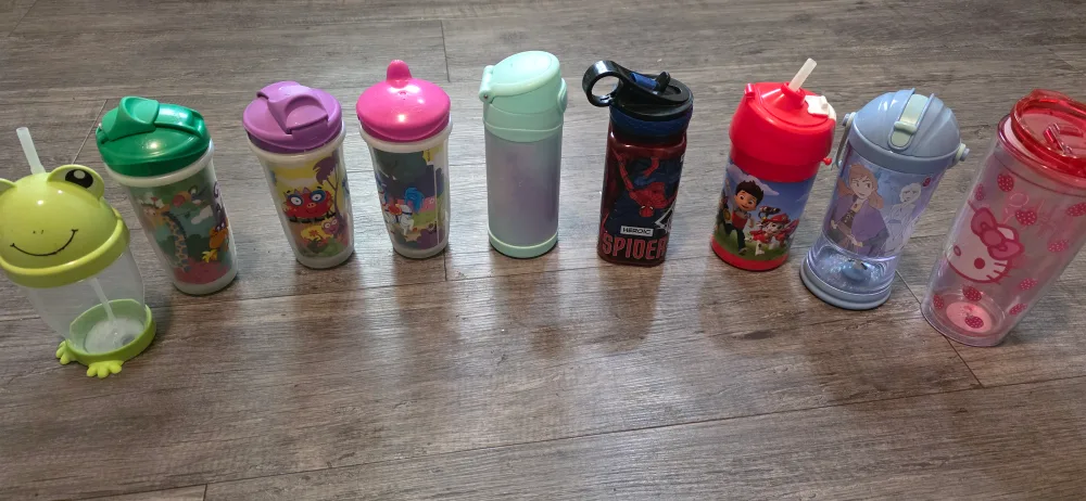 Kids' Character Water Bottles - Assorted thumbnail