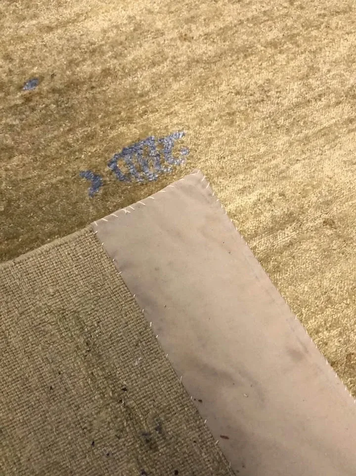 ODEGARD 60”x36” area rug image indicator(2)