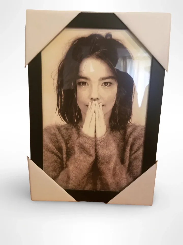 bjork framed picture thumbnail
