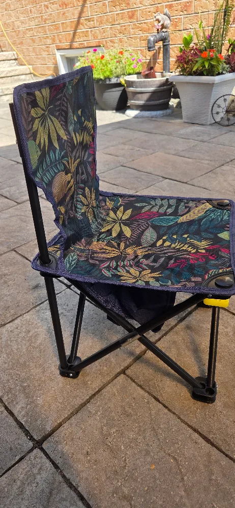 Small, Foldable Camping Chair with Carry Bag image indicator(2)