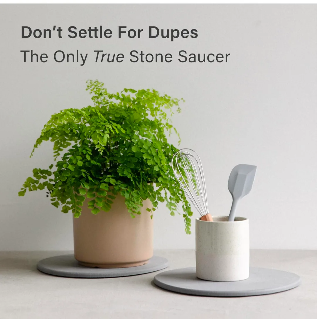 Dorai Stone Plant Pot Saucer (water absorbing) - 2 Large image indicator(2)