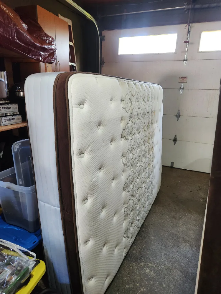 Queen Size Mattress Sealy thumbnail