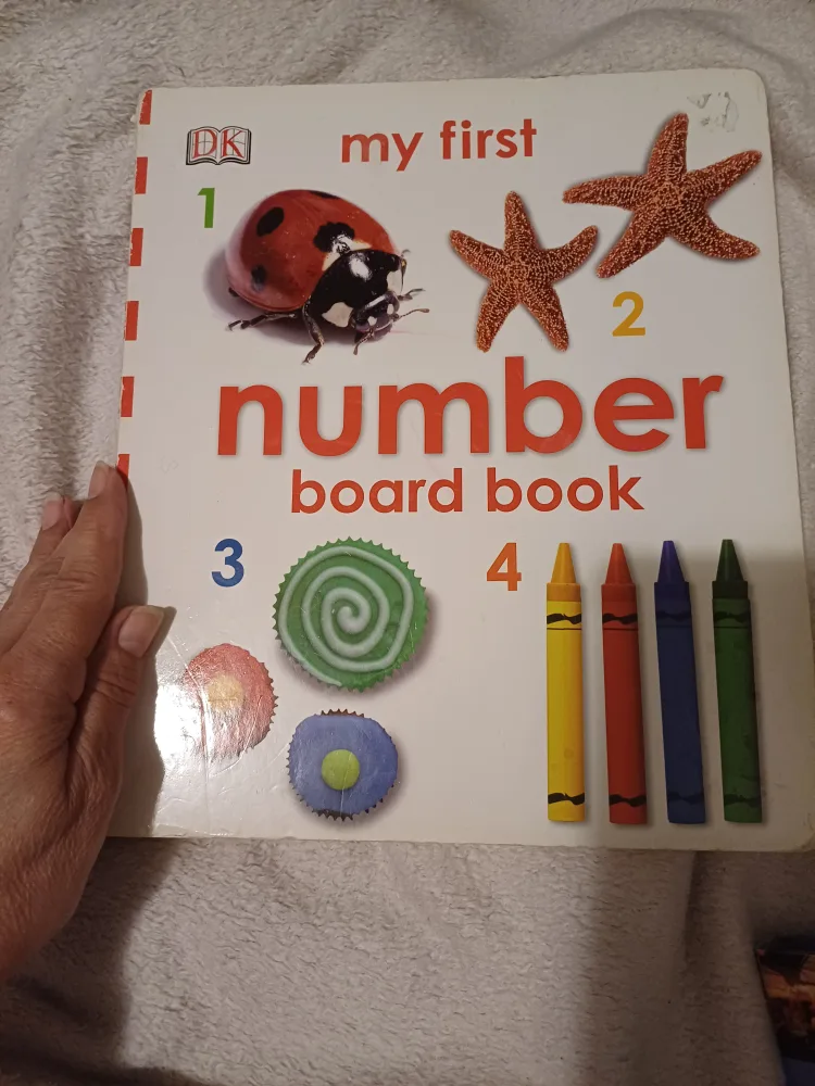🇨🇦 Free large board book:  My First Number Board Book thumbnail