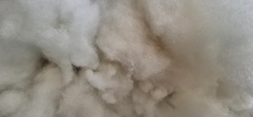 POLY-FILUTRA PLUSH (XXL) thumbnail