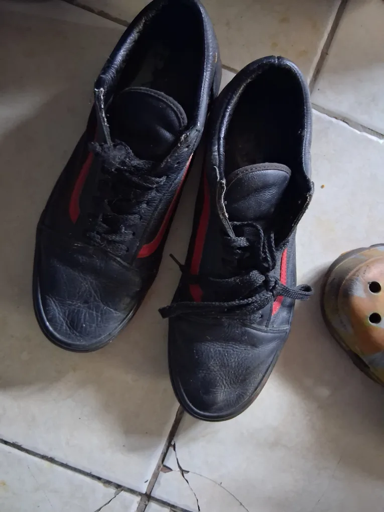 vans sneakers thumbnail