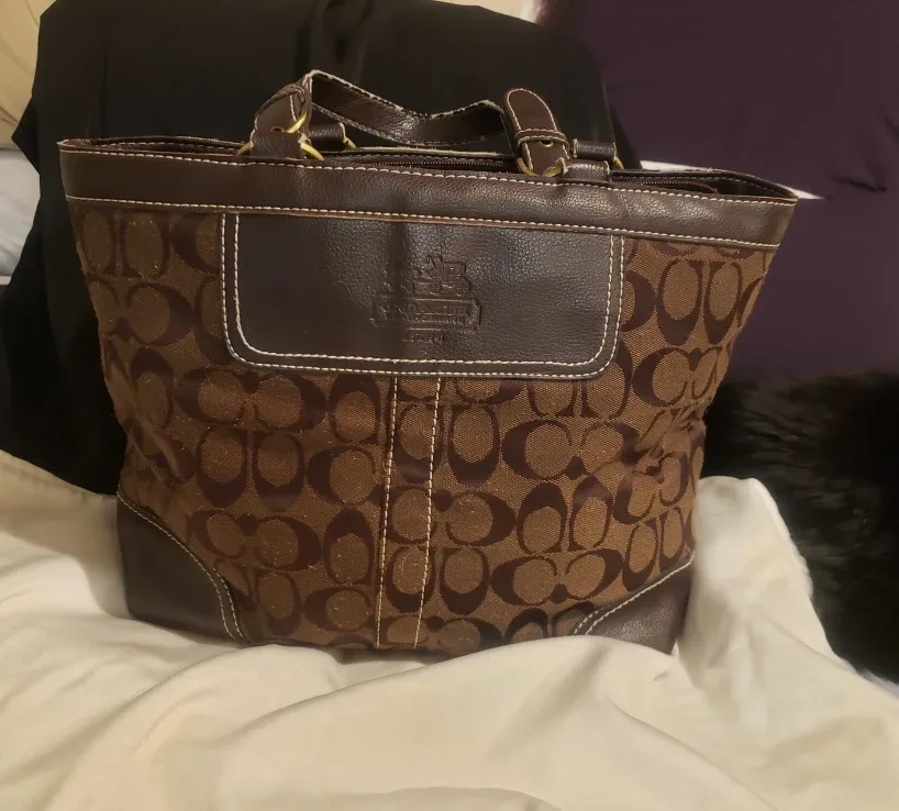 Coach Brown Signature Tote Bag thumbnail