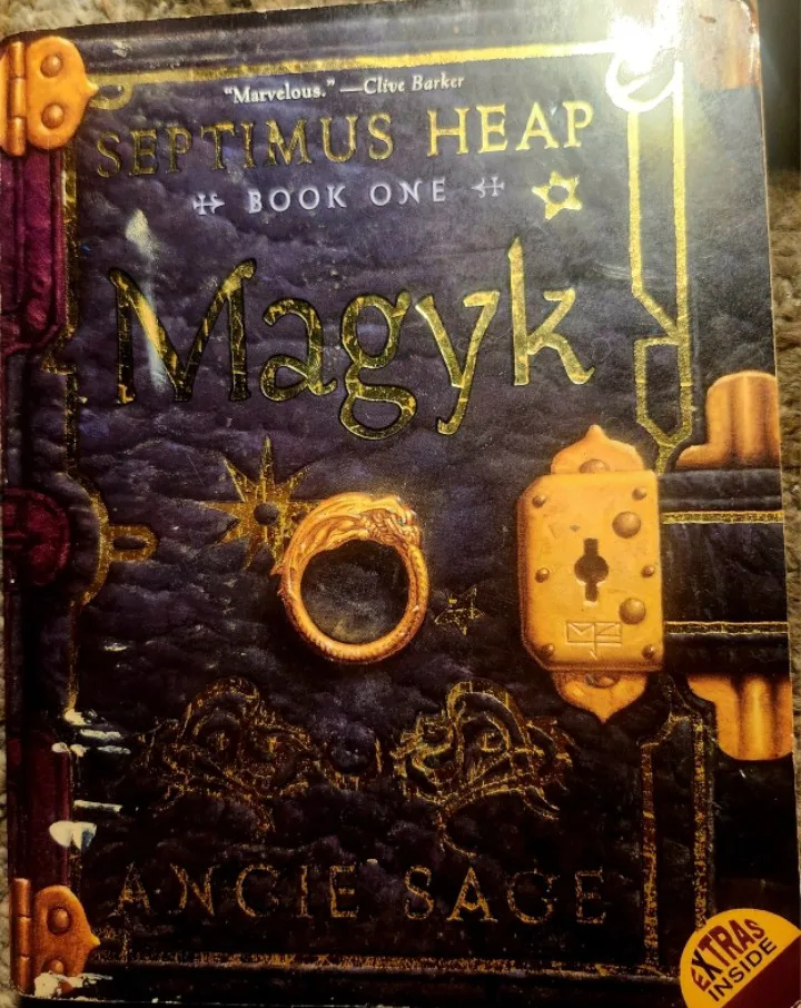 Septimus Heap Books: Magyk & Flyte by Angie Sage thumbnail