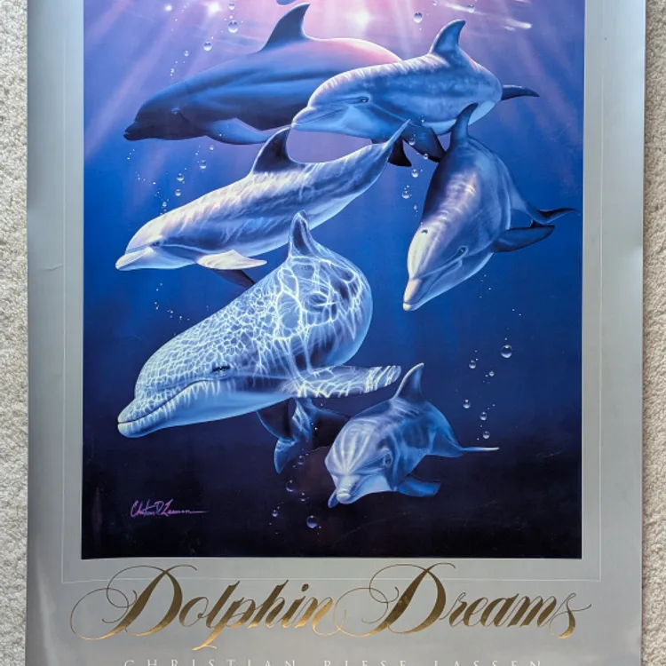 Christian Riese Lassen Dolphin Dreams Poster | Karrot Christian Riese Lassen Dolphin Dreams Poster | Karrot
