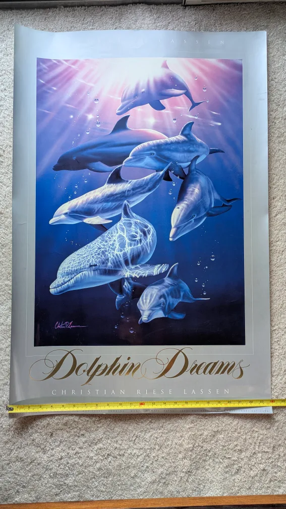 Christian Riese Lassen Dolphin Dreams Poster image indicator(2)