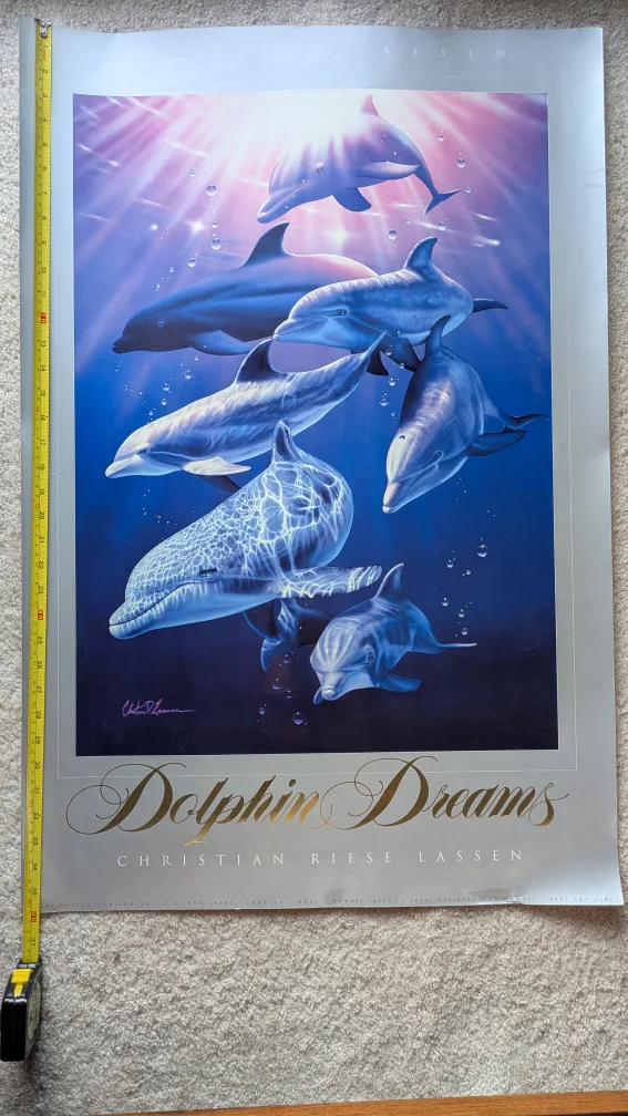 Christian Riese Lassen Dolphin Dreams Poster image indicator(3)