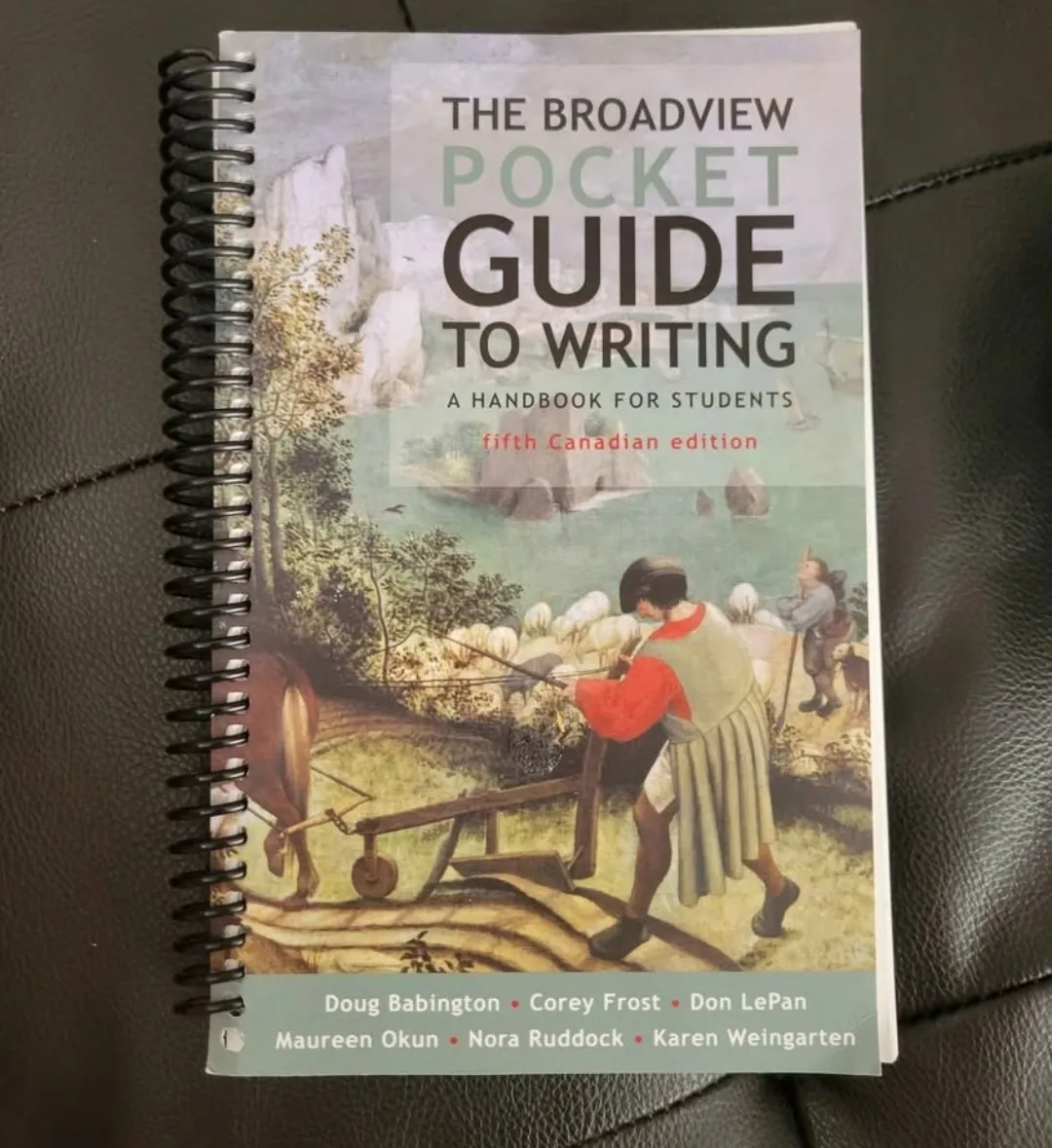 The Broadview Pocket Guide to Writing, fifth Canadian edition thumbnail