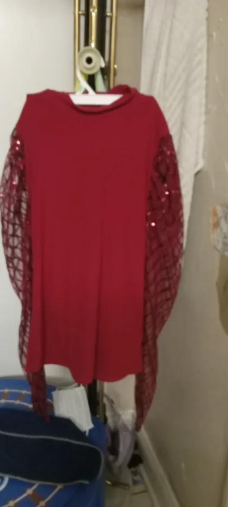 Red Sequin Sleeve Blouse 🇨🇦 thumbnail
